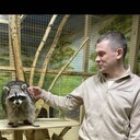 ���������� �����, ���� ������� �������, 32 ����, ������������ ��� ������, ����� � ���������