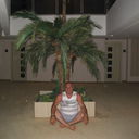  ,   Ceymsbond, 56 ,  
