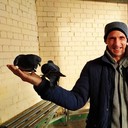 ���������� �����-���������, ���� ������� ������, 50 ���, ������������ ��� ������, ����� � ���������, c�������� ���������