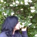 ���������� ������, ���� ������� ��������, 58 ���, ������������ ��� ������, ����� � ���������, c�������� ���������