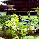 ���������� ��������, ���� ������� Semen, 29 ���, ������������ ��� ������, ���������