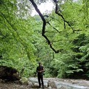  Frankfurt am Main,   Mehdi, 44 ,   ,   