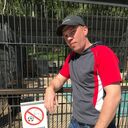 ���������� �����-���������, ���� ������� �������, 38 ���, ������������ ��� ������, ����� � ���������, c�������� ���������