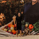 ���������� �������� ����, ���� ������� Damir, 37 ���, ������������ ��� ������, ����� � ���������, ���������