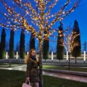 ���������� ���������, ���� ������� ��������, 31 ���, ������������ ��� ������, ����� � ���������, c�������� ���������, ���������