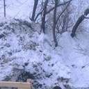 ���������� �����, ���� ������� ������, 37 ���, ������������ ��� ������, ����� � ���������, c�������� ���������