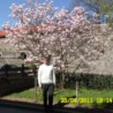  ,   , 50 ,   ,   , c 