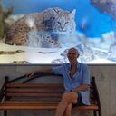 ���������� ������, ���� ������� C�����, 61 ���, ������������ ��� ������, ����� � ���������, c�������� ���������