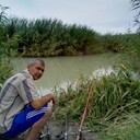 ���������� ������, ���� ������� ���������, 51 ���, ������������ ��� ������, ����� � ���������