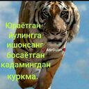 ���������� ������, ���� ������� Tayger, 33 ����, ������������ ��� ������, ����� � ���������