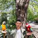 ���������� ������, ���� ������� ������, 45 ���, ������������ ��� ������, c�������� ���������, ���������