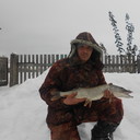 ���������� ���������, ���� ������� �������, 36 ���, ������������ ��� ������, ����� � ���������, c�������� ���������