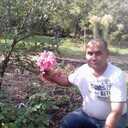  -,   , 53 ,     , c , 
