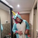 ���������� �����������, ���� ������� ����, 28 ���, ������������ ��� ������, ����� � ���������