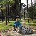 ���������� ������������, ���� ������� ����, 37 ���, ������������ ��� ������, ���������