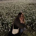 ���������� ������, ���� ������� ��������, 22 ����, ������������ ��� ������, ����� � ���������