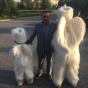 ���������� �����-���������, ���� ������� �������, 53 ����, ������������ ��� ������, ����� � ���������