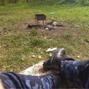 ���������� �����, ���� ������� ������, 33 ����, ������������ ��� ������, ����� � ���������