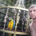 ���������� ���������, ���� ������� ����, 36 ���, ������������ ��� ������, ����� � ���������