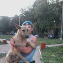 ���������� ������, ���� ������� �������, 33 ����, ������������ ��� ������, ����� � ���������, c�������� ���������