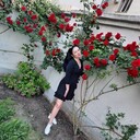 ���������� ���������, ���� ������� ����, 43 ����, ������������ ��� ������, ����� � ���������