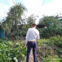  ,   , 43 ,     
