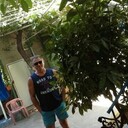 ���������� ���������, ���� ������� �����, 50 ���, ������������ ��� ������, ����� � ���������