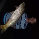 ���������� ����, ���� ������� ��������, 54 ����, ������������ ��� ������, ����� � ���������, c�������� ���������