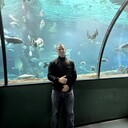 ���������� ������, ���� ������� ����, 39 ���, ������������ ��� ������, ����� � ���������