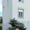 ���������� ����, ���� ������� �������, 36 ���, ������������ ��� ������, ����� � ���������