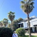  ,   , 52 ,   ,   
