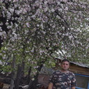 ���������� ������, ���� ������� ������, 52 ����, ������������ ��� ������, ����� � ���������, c�������� ���������