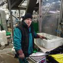 ���������� �������, ���� ������� �����, 43 ����, ������������ ��� ����� � ���������, c�������� ���������, ���������