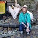  ,   , 50 ,   ,   