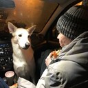 ���������� ��������, ���� ������� �����, 36 ���, ������������ ��� ������, ����� � ���������, c�������� ���������