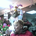  ,    , 68 ,   ,   , c 