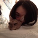  ,   , 26 ,   