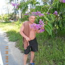  -,   , 54 ,   ,   , c 