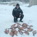 ���������� ���������, ���� ������� ����, 38 ���, ������������ ��� ������, ����� � ���������, c�������� ���������