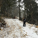 ���������� ���������, ���� ������� �����, 31 ���, ������������ ��� ����� � ���������, c�������� ���������