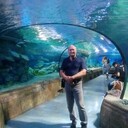  ,   , 48 ,   ,   , c , 