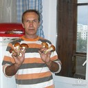  ,   , 57 ,  