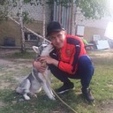 ���������� ���������, ���� ������� ������, 37 ���, ������������ 