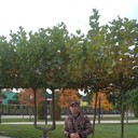 ���������� �����, ���� ������� ����������, 39 ���, ������������ ��� ������, ����� � ���������, c�������� ���������