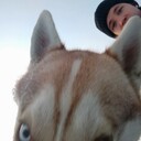 ���������� ��������, ���� ������� ������, 31 ���, ������������ ��� ������, ����� � ���������, c�������� ���������