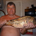   ,   , 64 ,  