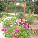  -,   , 60 ,     , c 