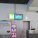 ���������� �������, ���� ������� �������, 49 ���, ������������ ��� c�������� ���������