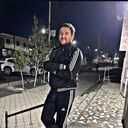  ,   , 41 ,   ,   