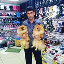 ���������� �����������-��-�����, ���� ������� ������, 43 ����, ������������ ��� ������, ����� � ���������